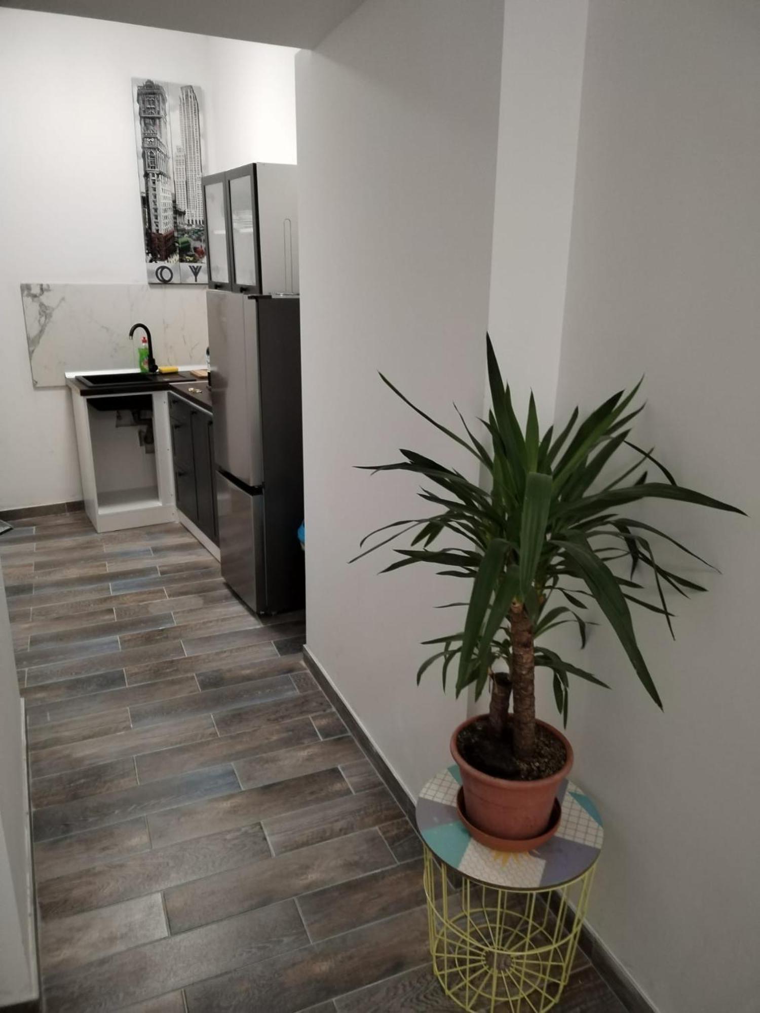 Garden In The Center Apartment Split Bilik gambar